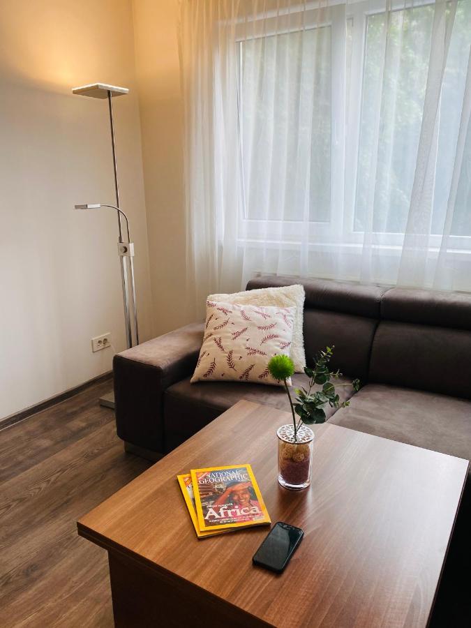 City Center Apartment Timişoara Exteriör bild